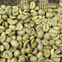 Green Unroasted Arabica Coffee Beans