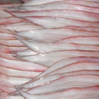 Tongue Sole Fish Whole Round