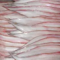 Tongue Sole Fish Whole Round