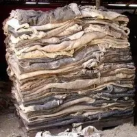 Wet Salted Donkey, Goat,  Salted Cow Hides