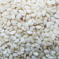 White Sesame Seeds