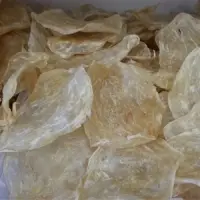 Fish Maws