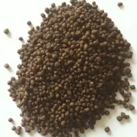 Diammonium Phosphate -DAP
