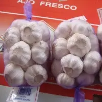 Pure Garlic