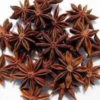 Star Anise