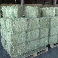 Alfafa Hay For Animal Feeding