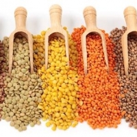 Quality Green, Lentils, Red Lentils