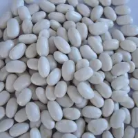 White Butter Beans