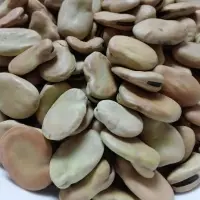 Dried Broad Beans