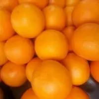 Fresh Oranges