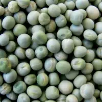 Whole Green Peas