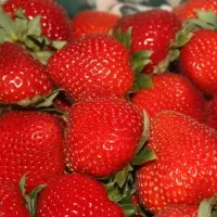 Fresh Strawberries