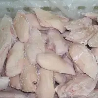 Frozen Chicken Breast