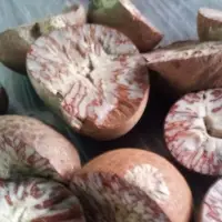 Split Betel Nuts