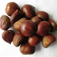 Chestnuts