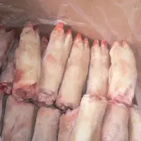 Frozen Pork Feet