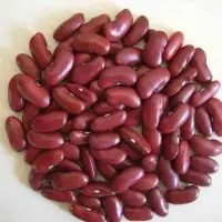 Red Kidney Beans