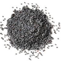 Blue Poppy Seeds