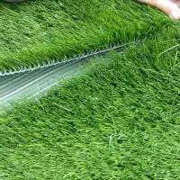 Astro-Turf Grass