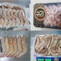 Shrimp
