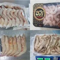 Shrimp