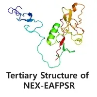 EAFPSR / Cosmetic Ingredients, Anti-Aging