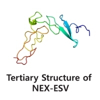 ESV / Cosmetic Ingredients, Anti-Aging