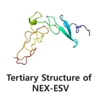 ESV / Cosmetic Ingredients, Anti-Aging