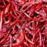 Red Chilli