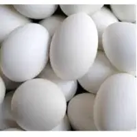 Fresh Eggs