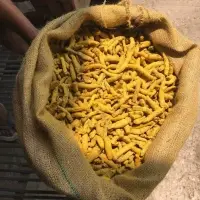 Turmeric