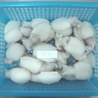 Sell Frozen Wc Cuttlefish