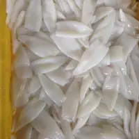 Frozen Squid (Loligo Squid)