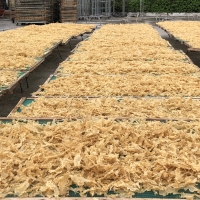 Dried Atlantic Cod Fish Maws