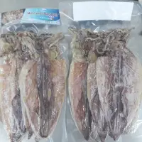 Dried Loligo Squid