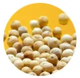 White pepper