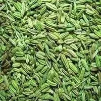 Fennel Seeds