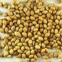 Coriander Seeds