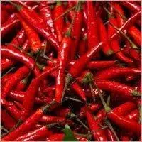 Red Chilli