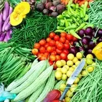Fresh Vegetables