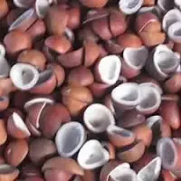 Coconut Dry Copra