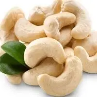 Cashew Nuts