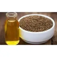 Ajwain Oil
