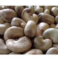 Raw Cashew Nuts