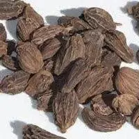 Black Cardamom
