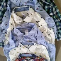 Boys Shirts