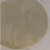 Wheat Gluten