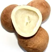 Dried Coconut (Copra)