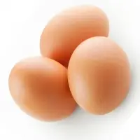 Fresh Eggs