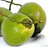 Tender Coconut